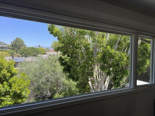 JB's Window Cleaning