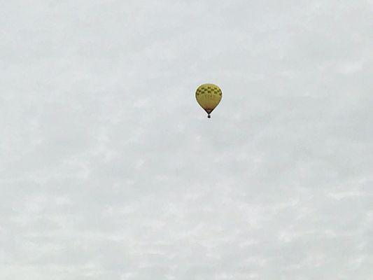 George Folia- Realtor