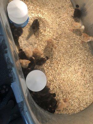 El Sobrante Feed & Pet Supply