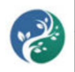 Whole Beauty and Health Acupuncture