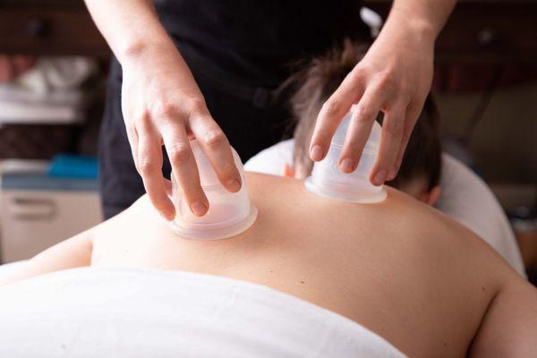 Wild Rose Healing House