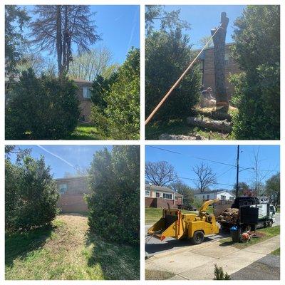 Genesis Landscaping & Junk Removal