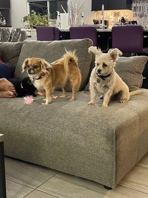 A couple of satisfied customers