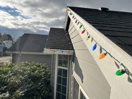 PDX Lawncare & Handyman