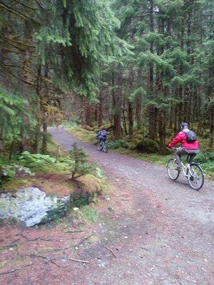 A Glacier Walk Bed & Breakfast