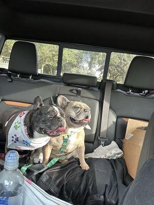 Woof Gang Bakery and Grooming