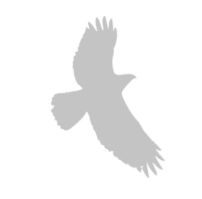 Hawk Hill Real Estate