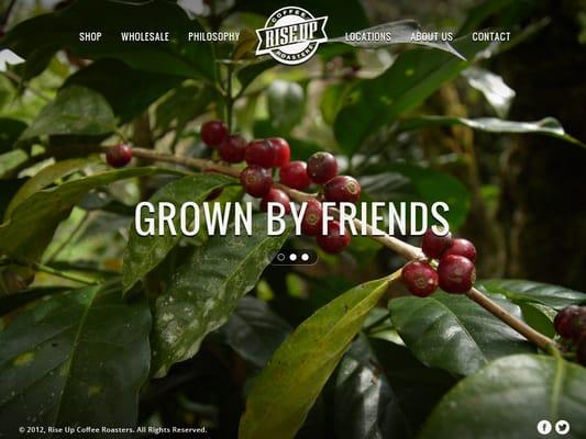 Cake & Eat It Designs