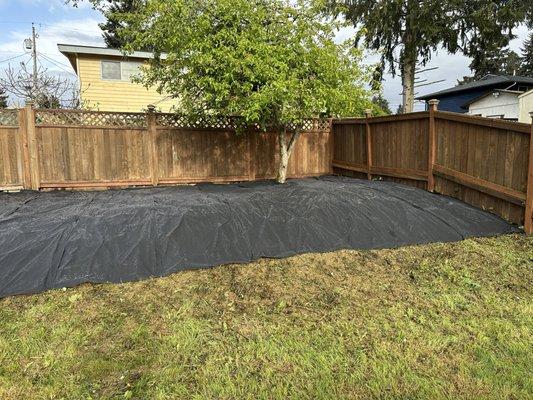 Savvy Landscape & Design