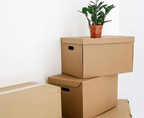 Ocotillo Estate Services