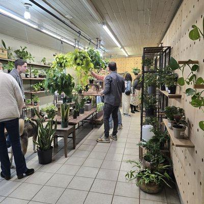 Urban Jungle
