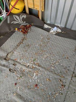 Patriot Self Storage