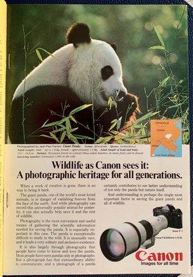 From National Geographic - Jan 1982