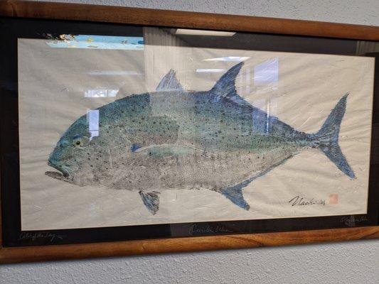 Lots Fish in the office