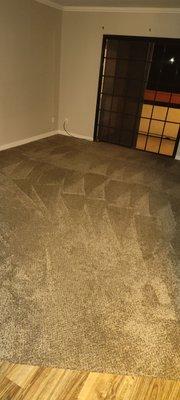 Healthy Home Carpet & Upholstery Cleaning