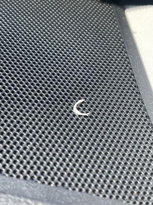 A fingernail clipping.