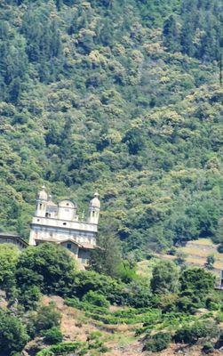 Zee As Your Housekeeper Rescue