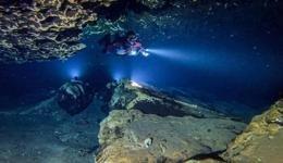 Sweet Surprise Scuba