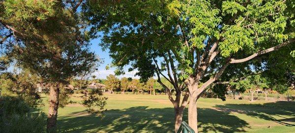 The Paseo Walking Path