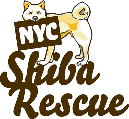 NYC Shiba Rescue
