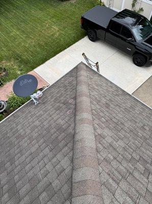 Alien Roofing
