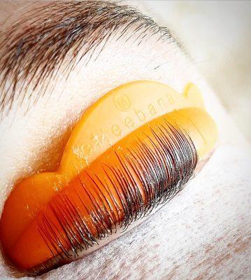 Elleebana trained and certified.     
Lifting lashes and spirits since 2017.