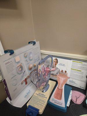 Women's Specialists of Sugar Land