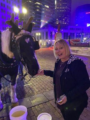 Country Carriage Company