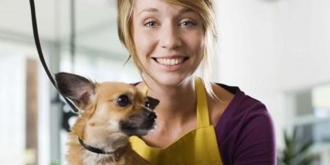 Shar-Jo's Pet Styling & In-Home Pet Sitting