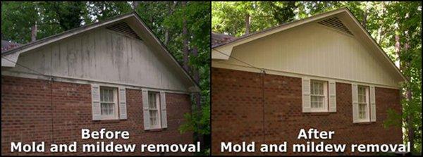 Mold removal from siding and brick.