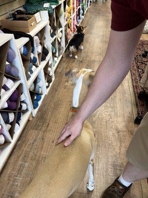 Around the Table Yarns