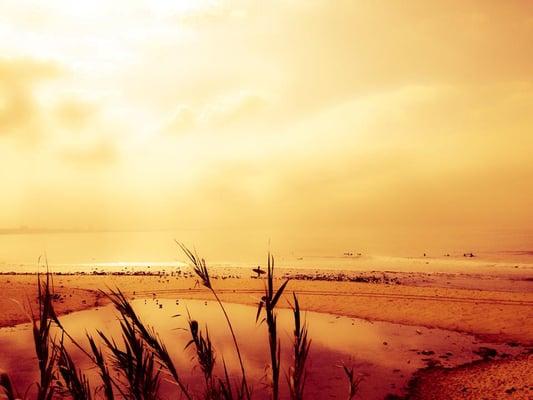 Paige Deponte Fine Art & Photography