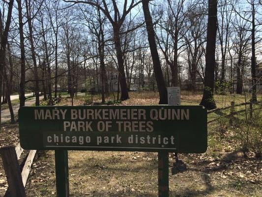 Mary Berkemeier Quinn Park-of-Trees