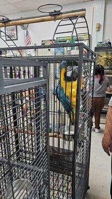 Bird Cage Pet Shop