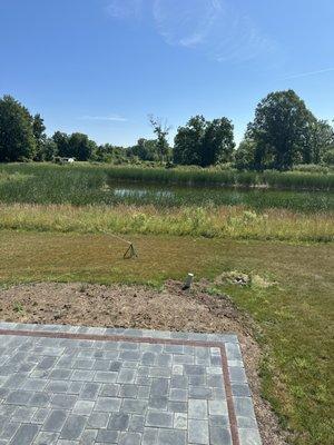 Pond and lawn managed by Woodbridge