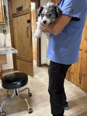 Mountain Home Veterinary Clinic