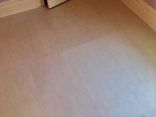 Post-cleaning pictures. You can see the dirt line.