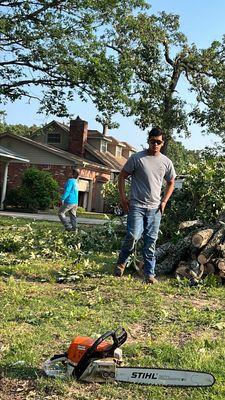 Pastor Tree Services