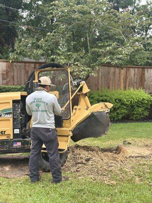Jose Tree Services