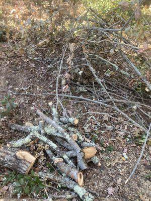 WNC Cruz Tree Service