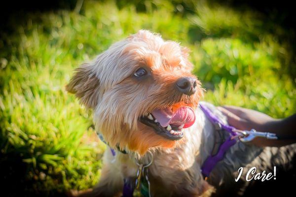 Yemyemfoto Photography