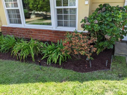 Cudahy Lawn Care & Maintenance