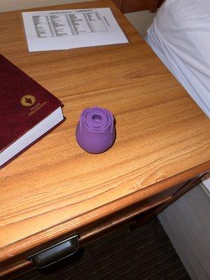 Ramada Inn Des Moines North