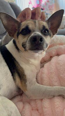 Millcreek Apartments