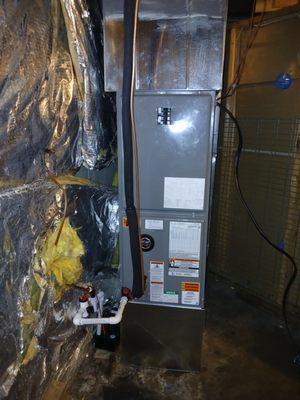 Wilson's Complete Package