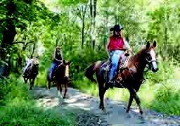 Bushkill Riding Stables