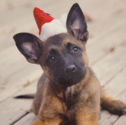 All I want for Christmas is time with you.