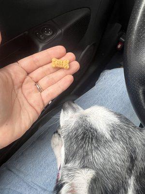 It's the mini treat for me :') soooo cute