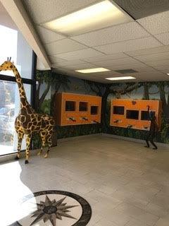 All Kids Dental & Braces