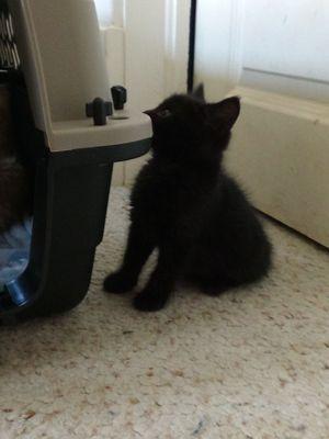 Spokane Humane Society